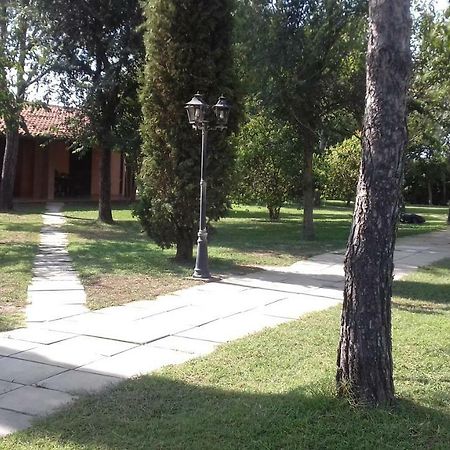 Le Tamerici Guest House Principina Terra Exterior photo