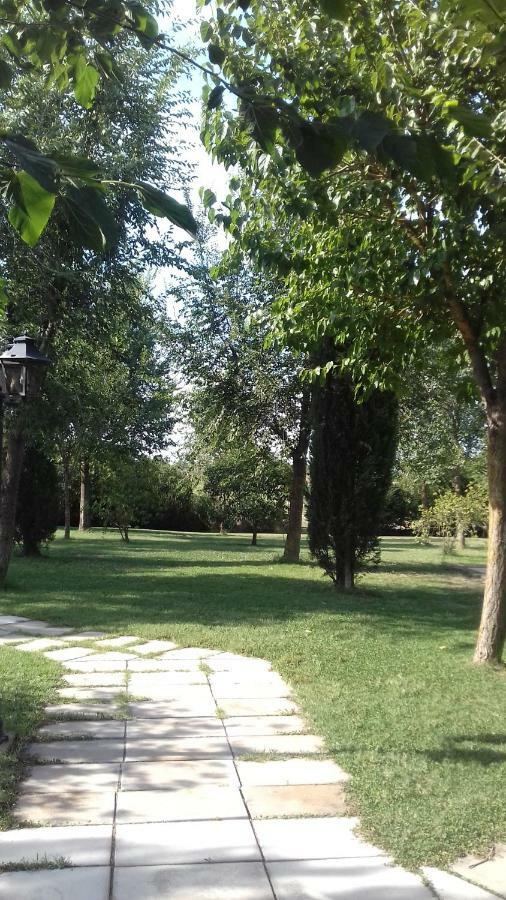 Le Tamerici Guest House Principina Terra Exterior photo